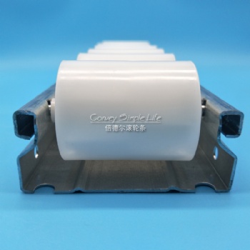 BW-4555NPS-1000L