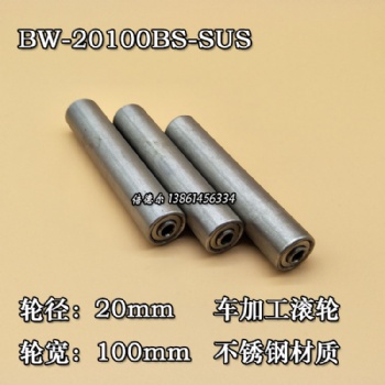 BW-20100SUS-6d