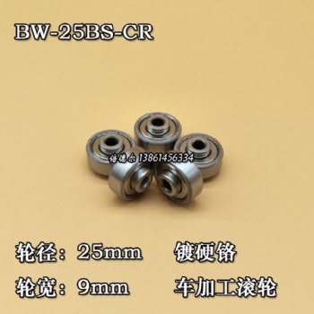 BW-25CR-6d