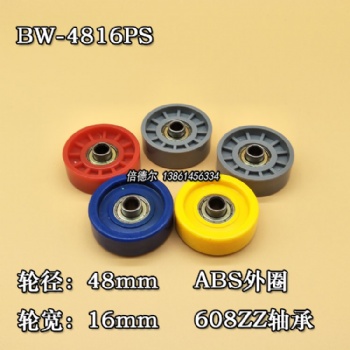 BW-4816PS-8d